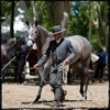 Beaucaire 2013 - Photographies de Pascal LAHURE