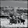 Reportage photo de Pascal LAHURE en Camargue