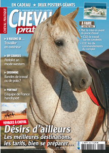 Cheval  Pratique n°266