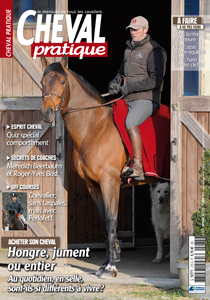 Article de Pascal LAHURE paru dans le magazine CHEVAL PRATIQUE N275