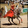 Fete du Cheval à Montferrat 2010