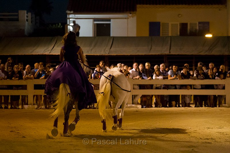 IMG_4303_Pascal_Lahure.jpg