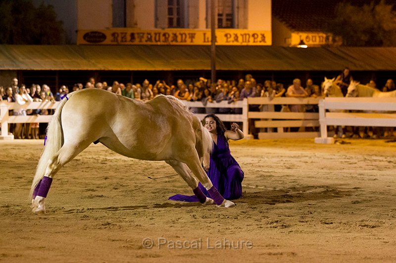IMG_4324_Pascal_Lahure.jpg