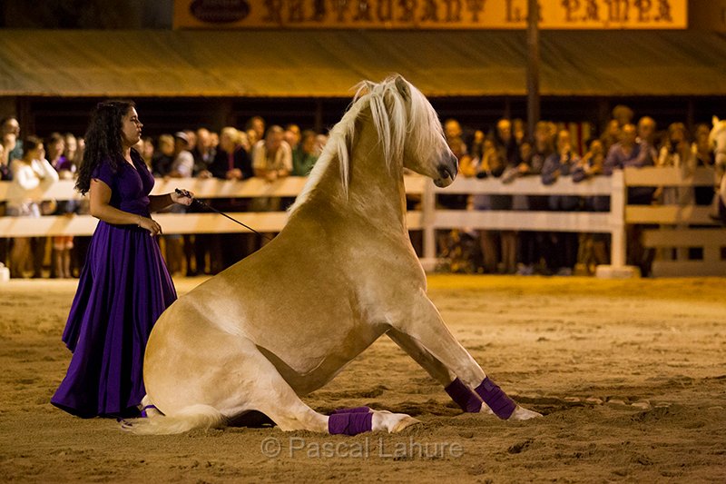 IMG_4326_Pascal_Lahure.jpg
