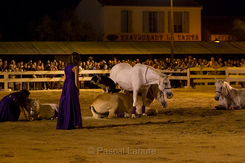 IMG_4331_Pascal_Lahure.jpg