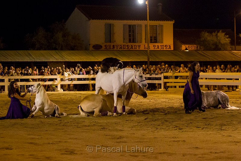 IMG_4333_Pascal_Lahure.jpg
