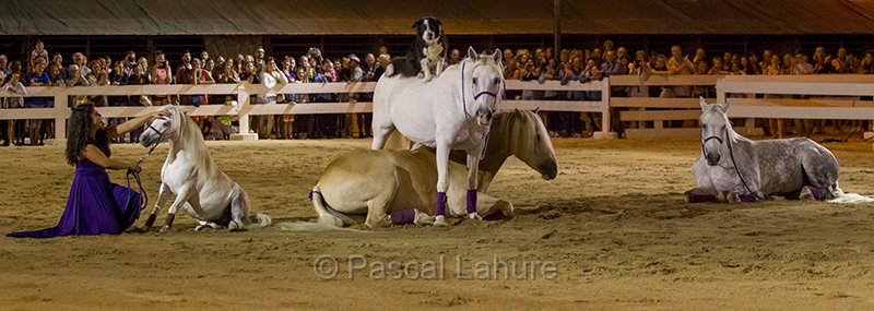 IMG_4334_Pascal_Lahure_1.jpg