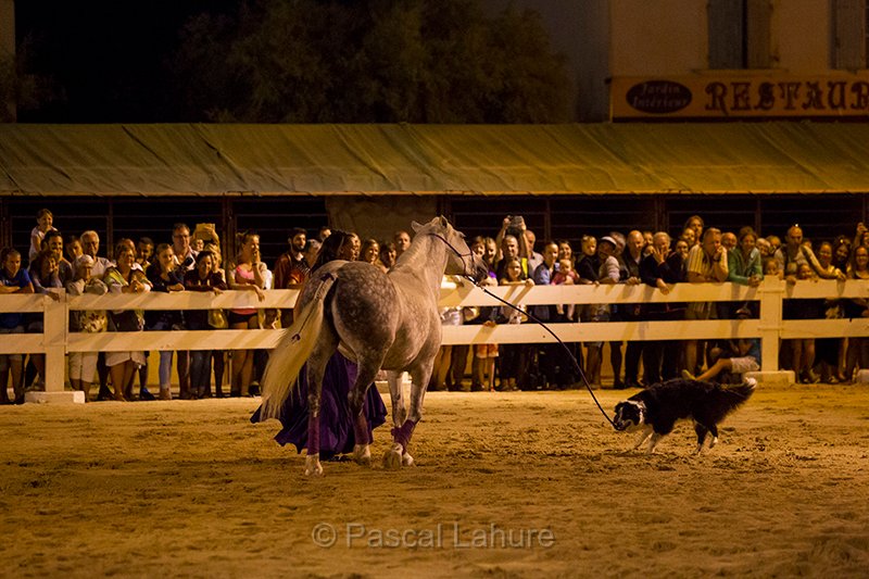 IMG_4341_Pascal_Lahure.jpg