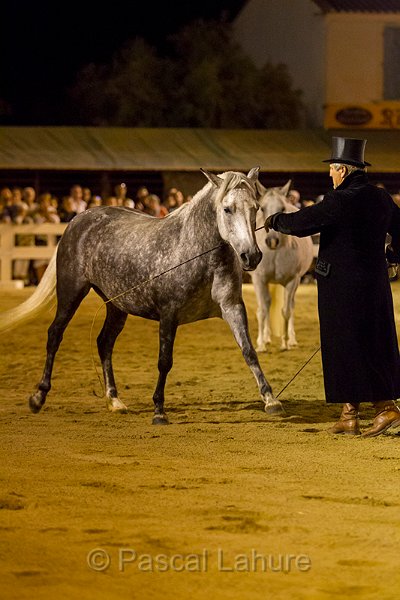 IMG_4411_Pascal_Lahure.jpg