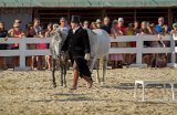 IMG_3170_Pascal_Lahure