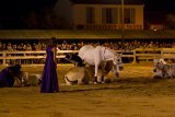IMG_4331_Pascal_Lahure