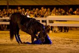 IMG_4385_Pascal_Lahure