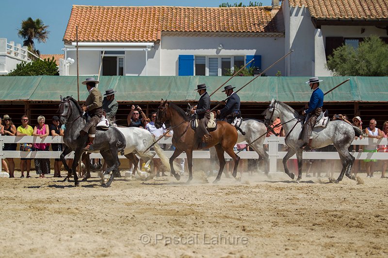 IMG_2801_Pascal_Lahure.jpg