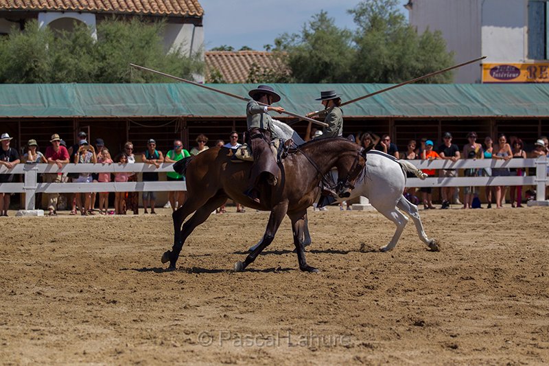 IMG_4742_Pascal_Lahure.jpg