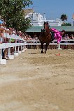 IMG_4805_Pascal_Lahure
