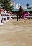 IMG_4807_Pascal_Lahure