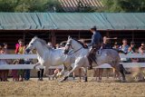 IMG_5043_Pascal_Lahure
