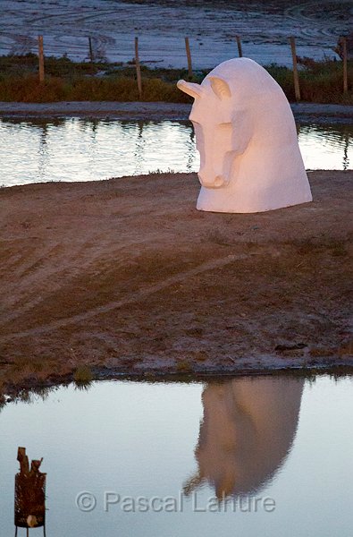 IMG_5165_Pascal_Lahure.jpg