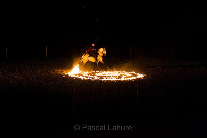 IMG_5279_Pascal_Lahure.jpg