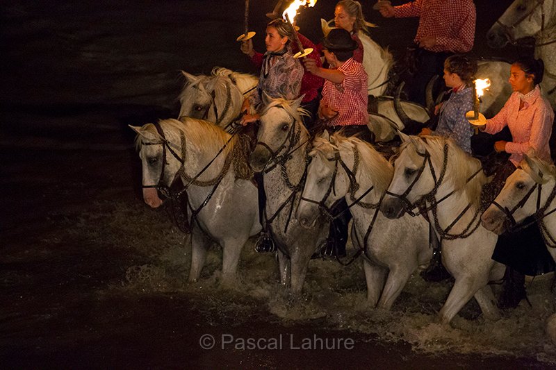 IMG_5499_Pascal_Lahure.jpg