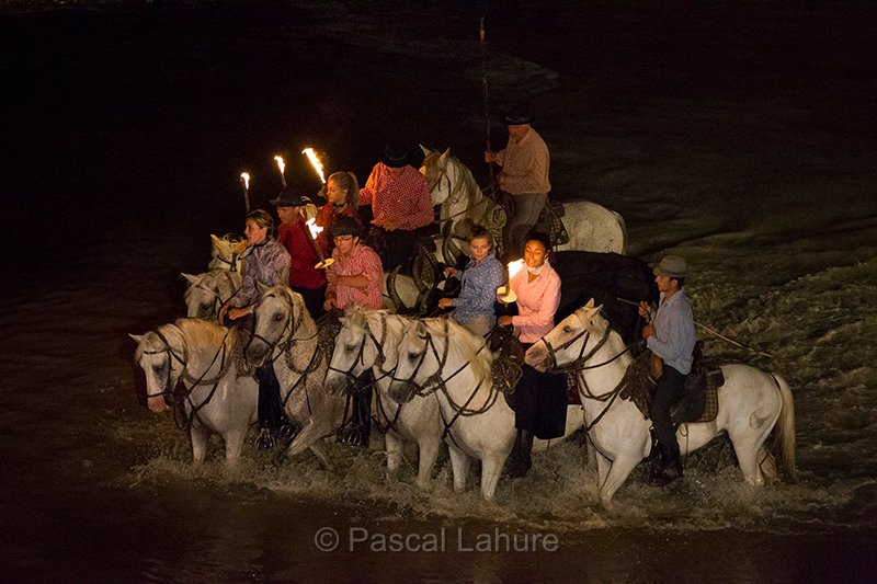 IMG_5501_Pascal_Lahure.jpg