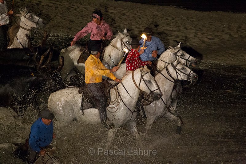 IMG_5566_Pascal_Lahure.jpg
