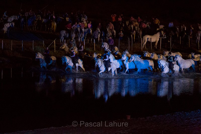 IMG_5619_Pascal_Lahure.jpg