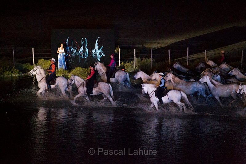 IMG_5670_Pascal_Lahure.jpg