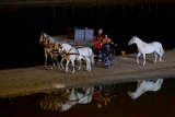 IMG_5436_Pascal_Lahure