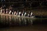 IMG_5606_Pascal_Lahure