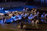 IMG_5635_Pascal_Lahure