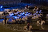 IMG_5637_Pascal_Lahure