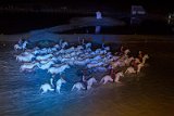 IMG_5648_Pascal_Lahure