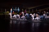 IMG_5669_Pascal_Lahure