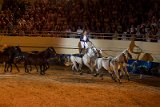 IMG_4049_Pascal_Lahure