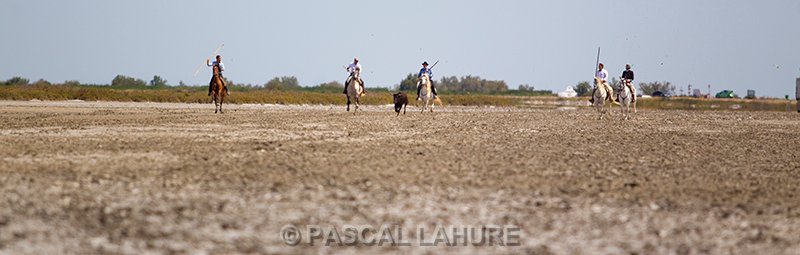 IMG_8809_Pascal_Lahure.jpg
