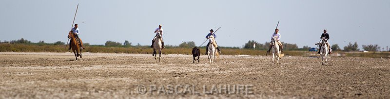 IMG_8812_Pascal_Lahure.jpg