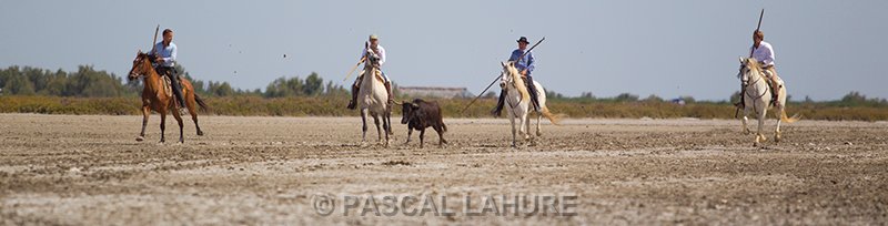 IMG_8816_Pascal_Lahure.jpg