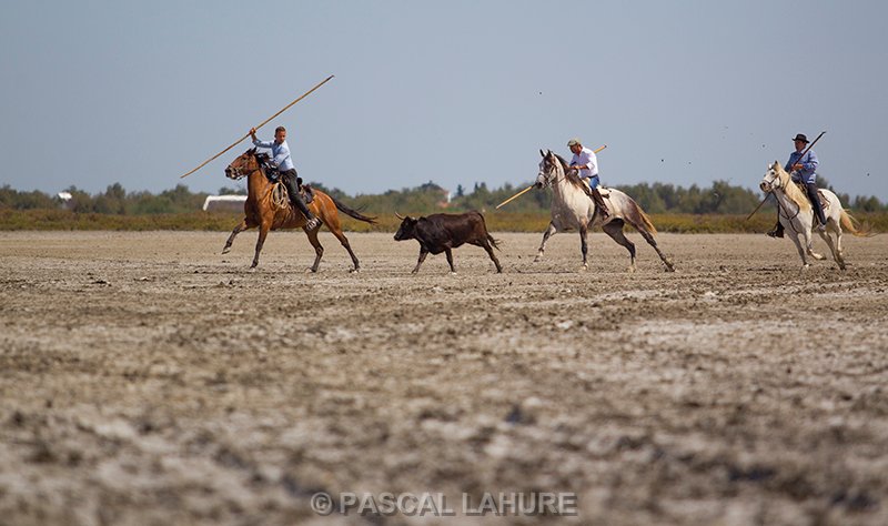 IMG_8818_Pascal_Lahure.jpg