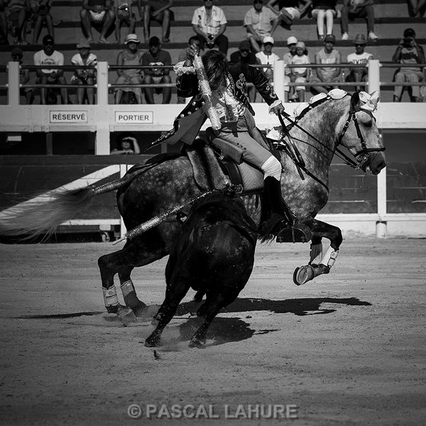 IMG_8910_Pascal_Lahure.jpg