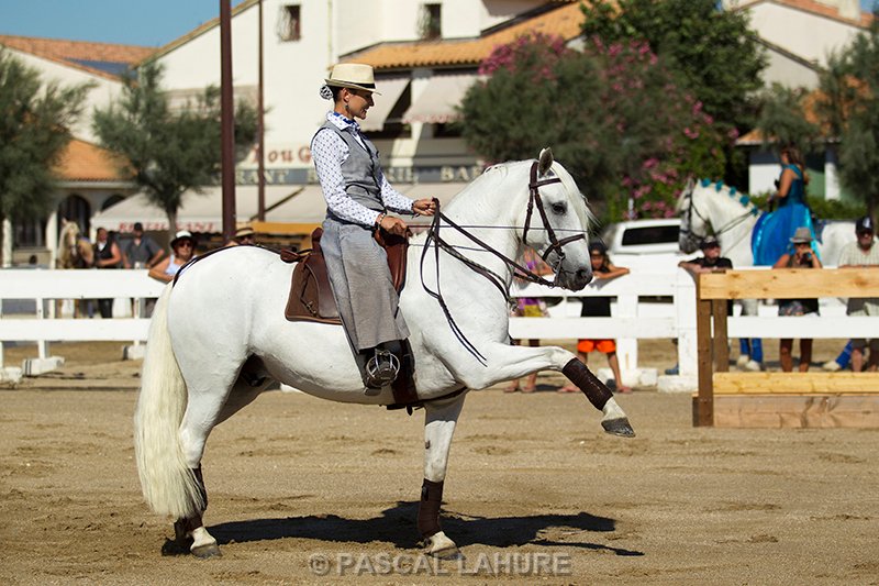 IMG_7967_Pascal_Lahure.jpg