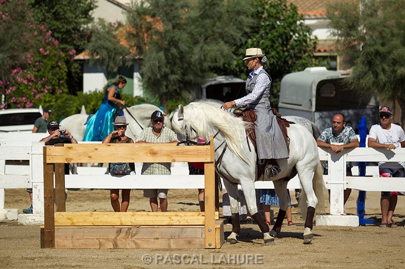 IMG_7973_Pascal_Lahure.jpg