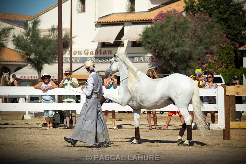 IMG_7984_Pascal_Lahure.jpg