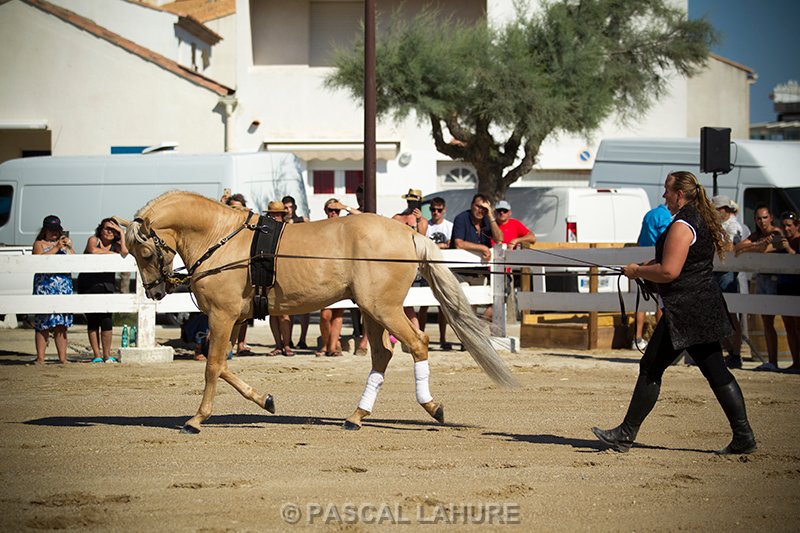 IMG_8008_Pascal_Lahure.jpg
