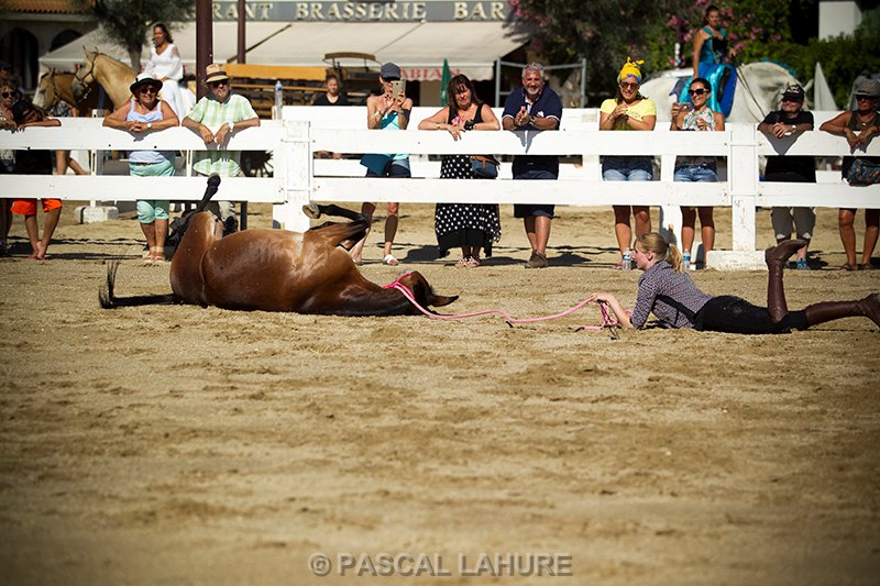 IMG_8053_Pascal_Lahure.jpg