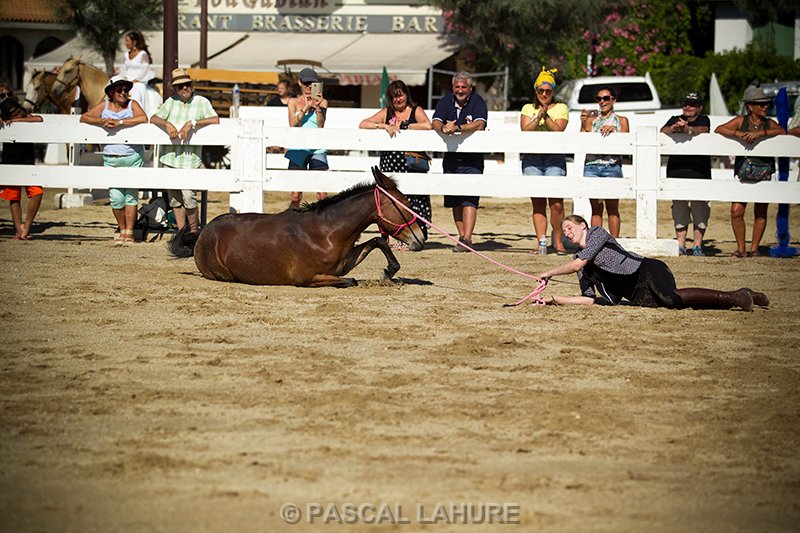 IMG_8055_Pascal_Lahure.jpg