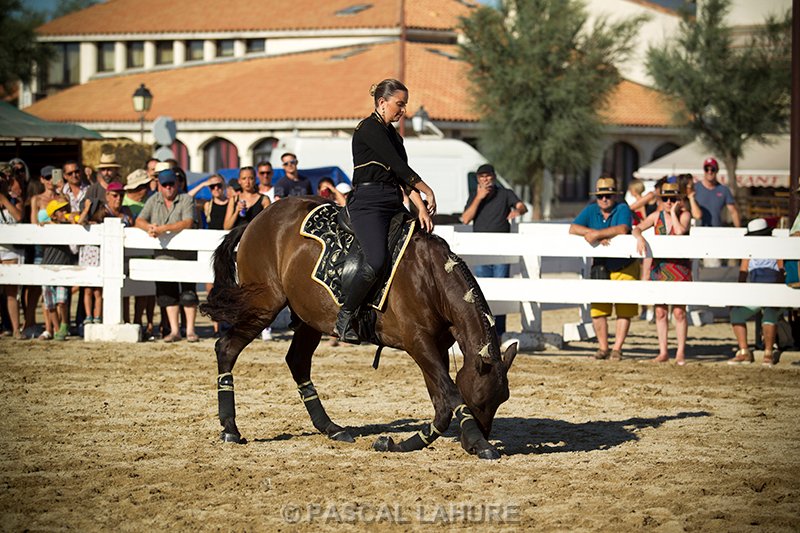IMG_8250_Pascal_Lahure.jpg