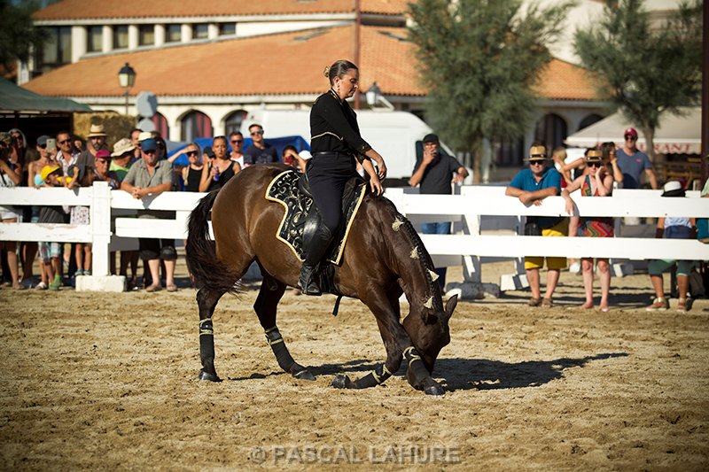 IMG_8251_Pascal_Lahure.jpg