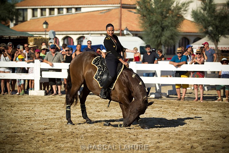 IMG_8252_Pascal_Lahure.jpg