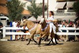 IMG_8072_Pascal_Lahure